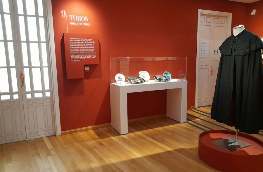 Málaga: Picasso Birthplace Museum Ticket & City Audio Guide - What the $11 price really gives you
