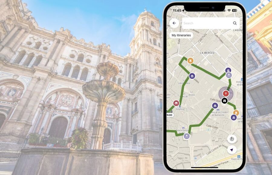 Málaga: Picasso Birthplace Museum Ticket & City Audio Guide - Should you book the Picasso birthplace ticket?