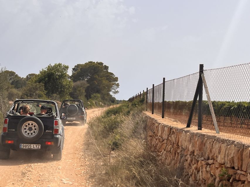 Mallorca: Self Drive 4x4 Jeepsafari Tour - What this Mallorca jeep tour is really like