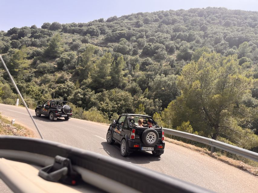Mallorca: Self Drive 4x4 Jeepsafari Tour - Swimming in clear Mediterranean water