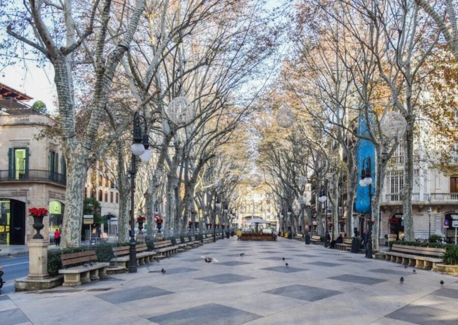 Mallorca: Transfer to Palma self-guided Tour - Why this Palma day works so well