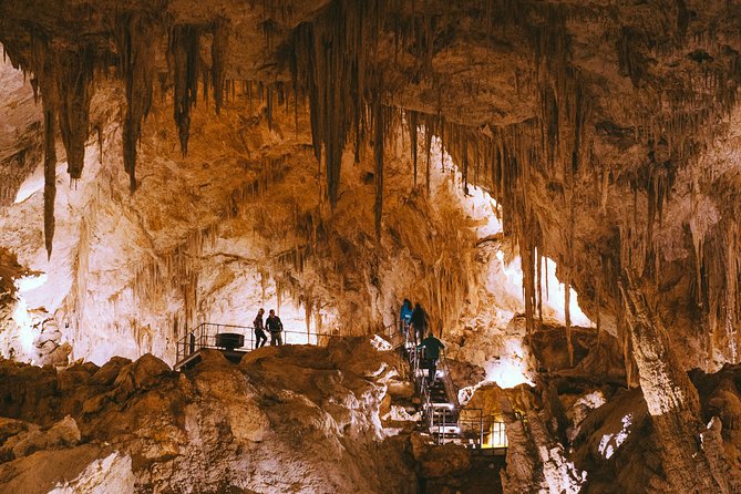 Mammoth Cave Self-guided Audio Tour (Located in Western Australia) - Why Mammoth Cave is more than a cave walk