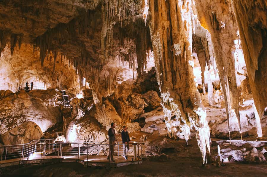 Margaret River: Self-Guided Audio Tour of Mammoth Cave - The gently sloping boardwalk through Australian bushland