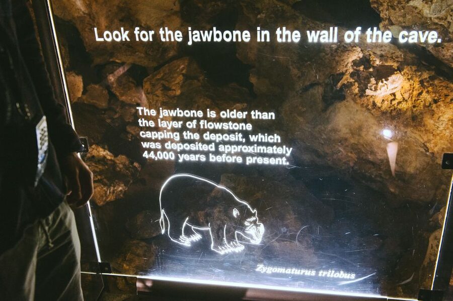 Margaret River: Self-Guided Audio Tour of Mammoth Cave - Who should book Mammoth Cave?