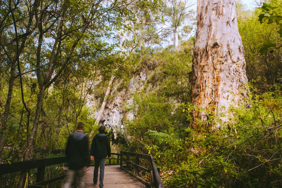 Margaret River: Self-Guided Audio Tour of Mammoth Cave - Practical planning for your two hours