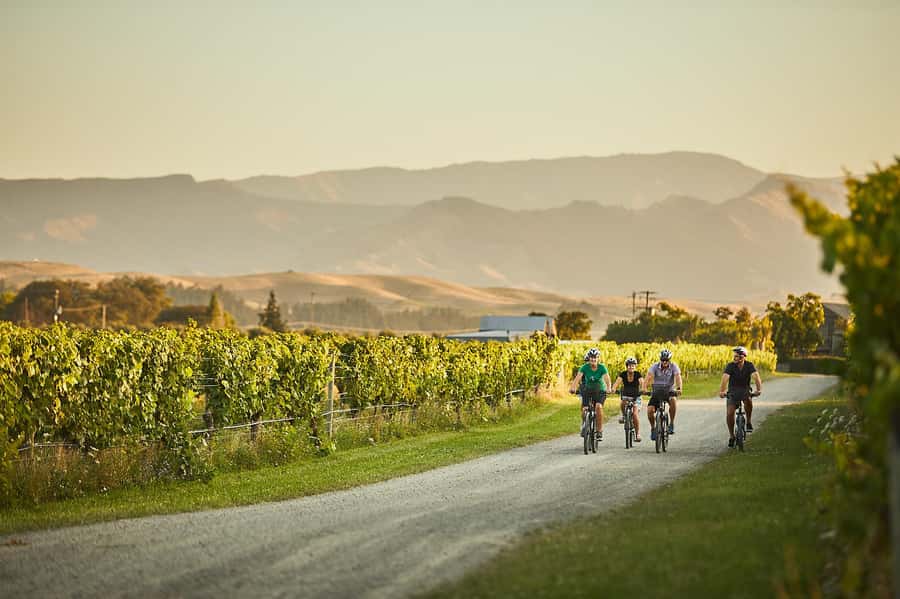 Marlborough: Full-Day Self-Guided Biking Wine Tour - Key points to know before you book