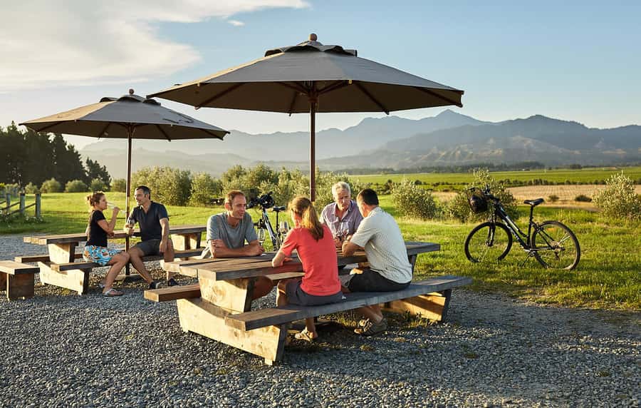 Marlborough: Full-Day Self-Guided Biking Wine Tour - Starting near the Vines Village