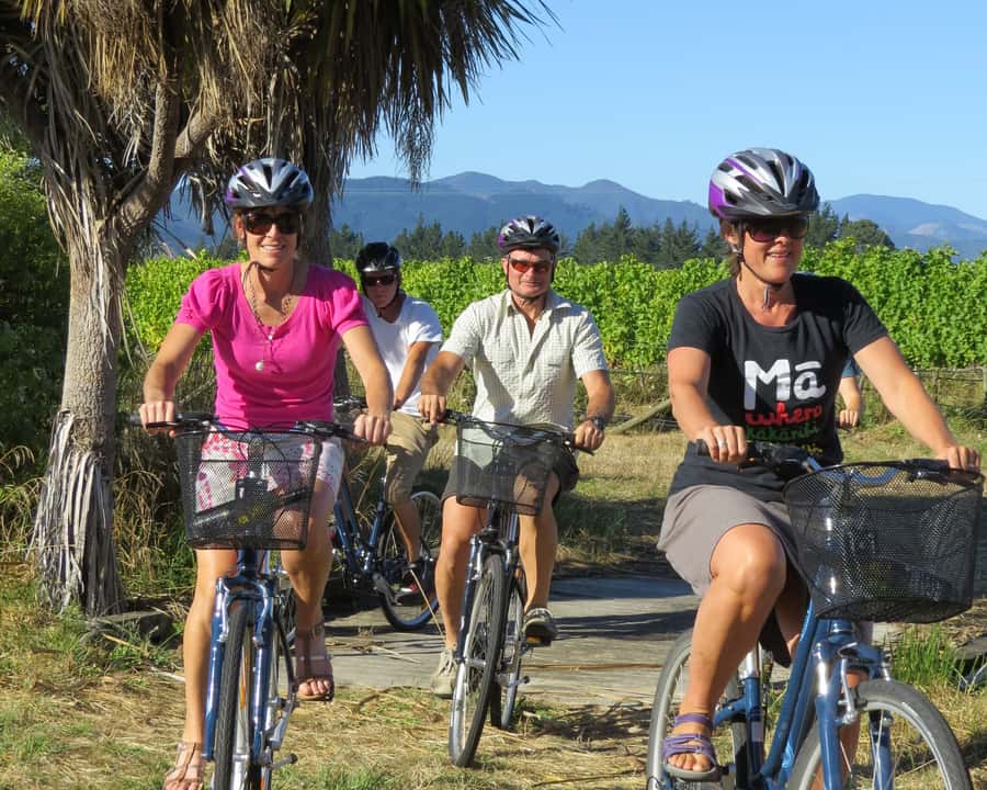 Marlborough: Half Guided and Half Self-Guided Bike Wine Tour - Key points at a glance