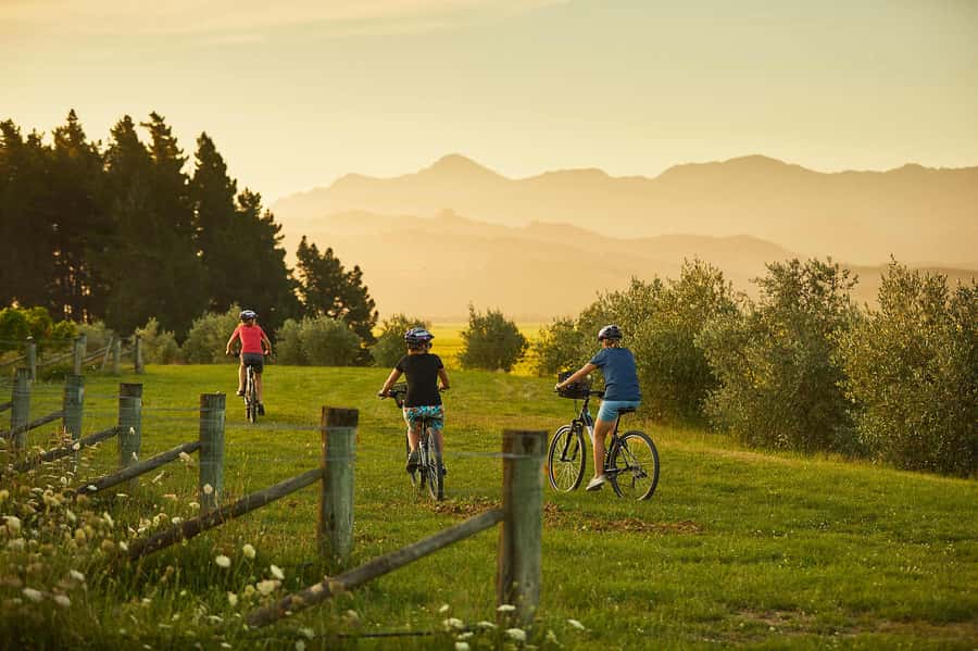 Marlborough: Half Guided and Half Self-Guided Bike Wine Tour - Three wineries before lunch