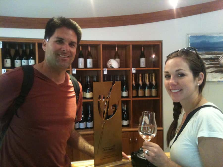 Marlborough: Half Guided and Half Self-Guided Bike Wine Tour - The views between the cellar doors