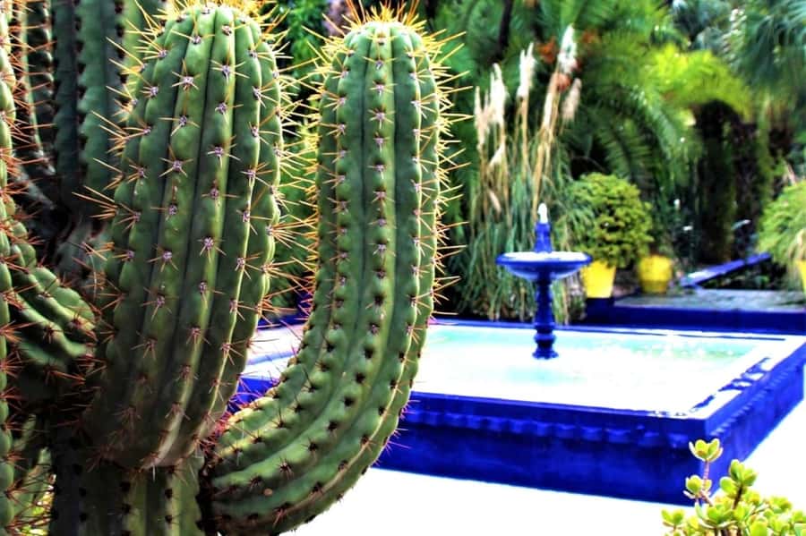 Marrakech: Majorelle Garden with a Digital Audio Guide App - Arriving on your own at Majorelle Garden