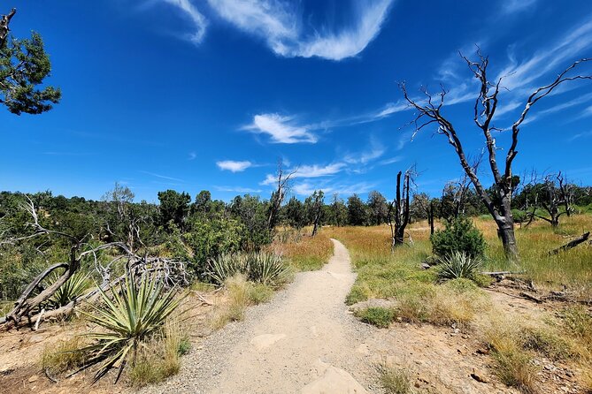 Mesa Verde National Park Self-Guided Audio Tour - Chapin Mesa Museum adds essential context