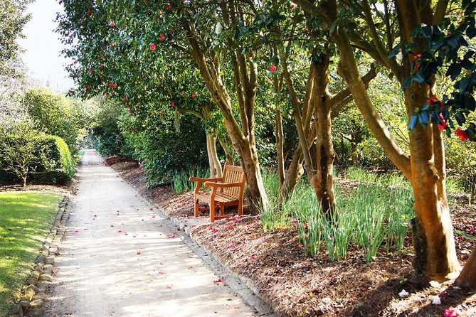 Middleton Place Admission with Self Guided Tour and Lunch - What the $120.90 price really covers