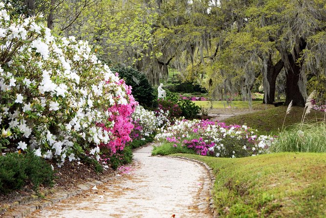 Middleton Place Admission with Self Guided Tour and Lunch - How to use your five hours well