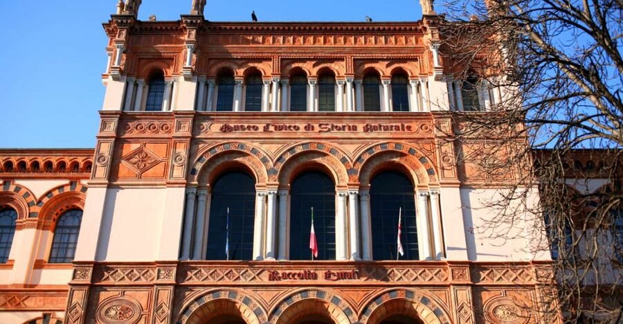 Milan: Natural History Museum Entry Ticket & Audio Guide - What the two-hour visit is really like