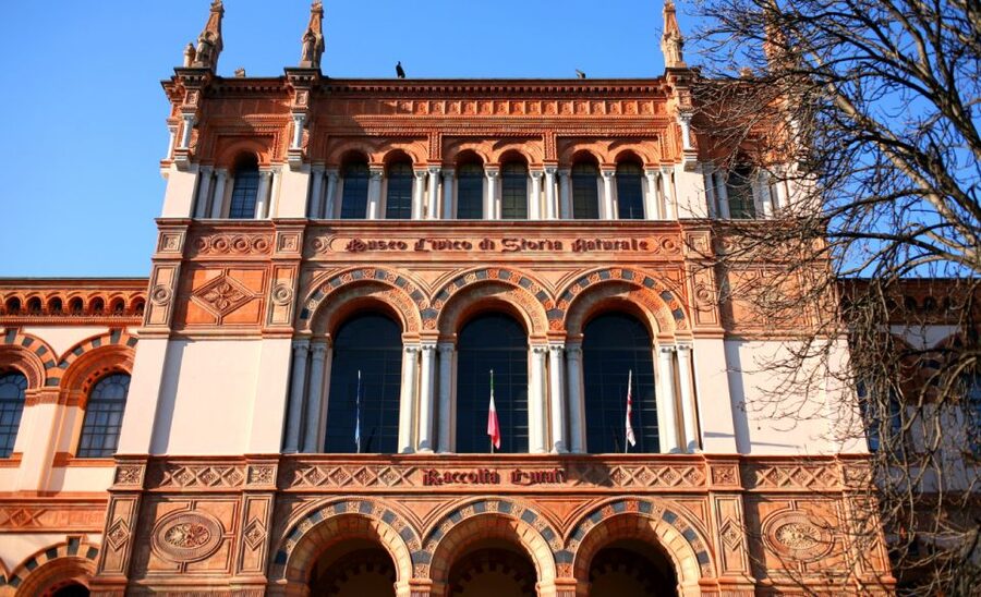 Milan: Natural History Museum Entry Ticket & Audio Guide - Should you book the Milan Natural History Museum ticket?