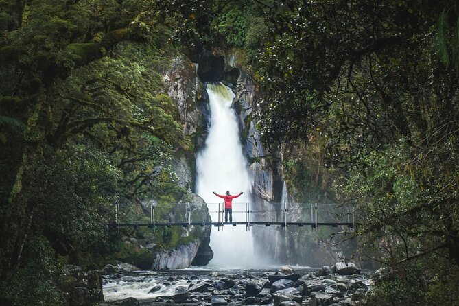 Milford Sound Nature Cruise and Self-Guided Scenic Track Walk - Key points to know before booking