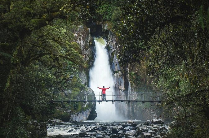 Milford Sound Nature Cruise and Self-Guided Scenic Track Walk - A two-hour view of Milford Sound by catamaran