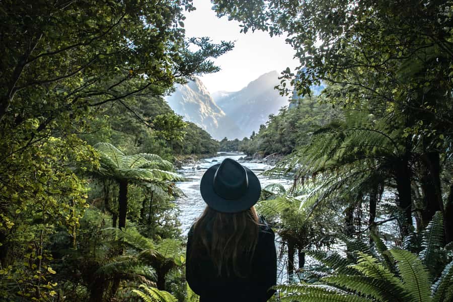 Milford Sound: Self-Guided Milford Track Day Walk - Key points to know before you book