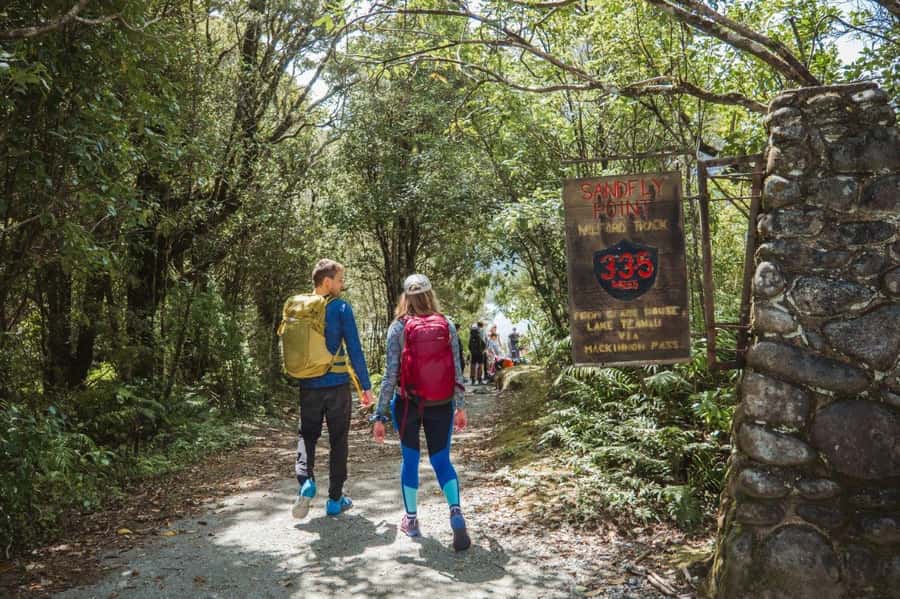 Milford Sound: Self-Guided Milford Track Day Walk - A short way onto New Zealand’s famous Milford Track