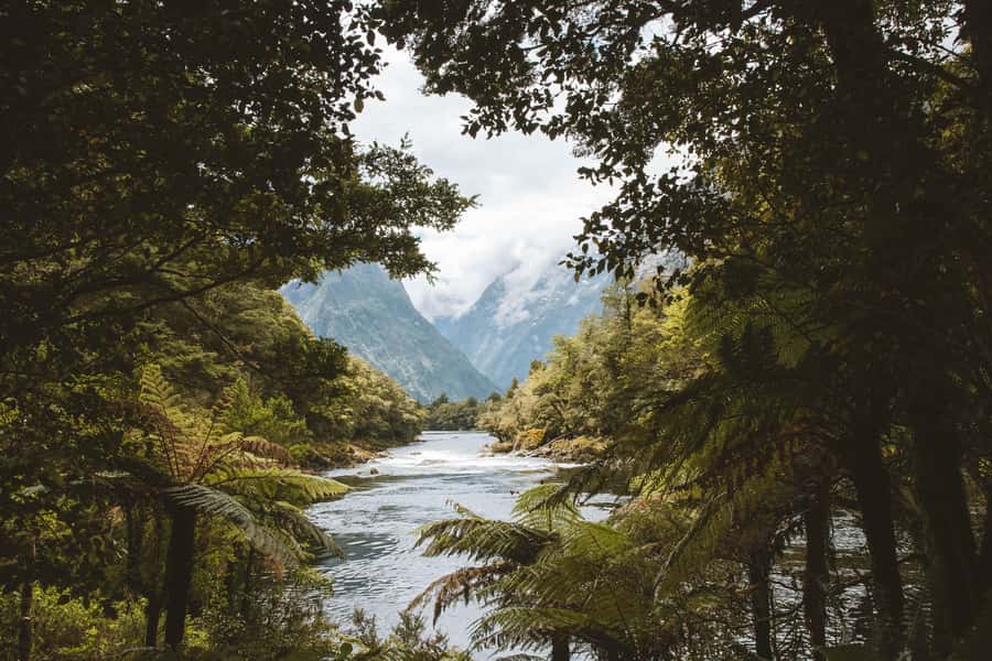 Milford Sound: Self-Guided Milford Track Day Walk - What the 210-minute schedule means