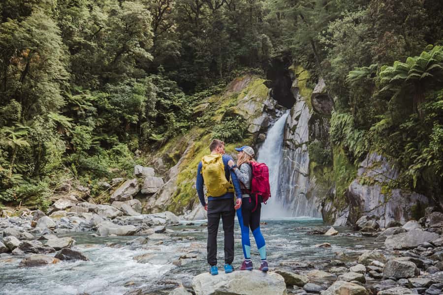 Milford Sound: Self-Guided Milford Track Day Walk - Is $44 a fair price?
