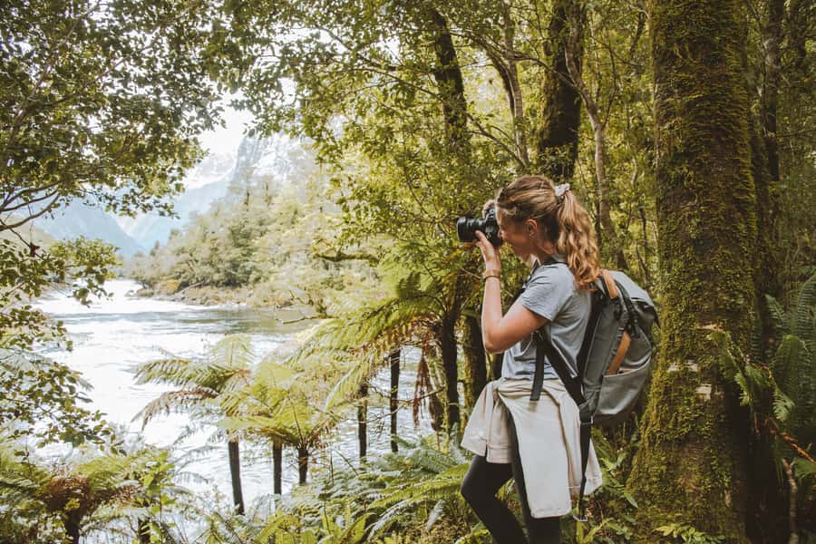 Milford Sound: Self-Guided Milford Track Day Walk - What to bring and how to prepare