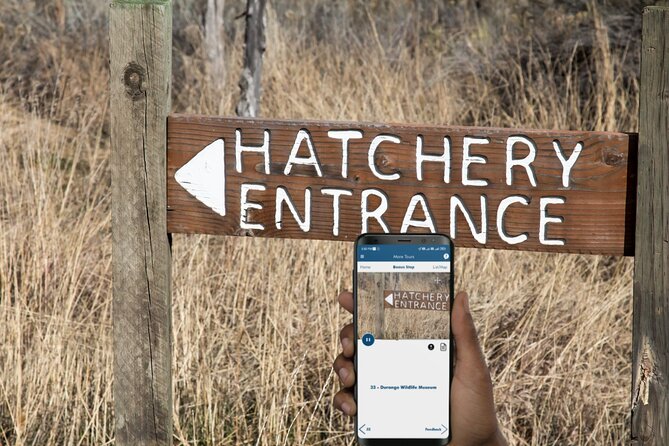 Million Dollar Highway Self-Guided Driving Audio Tour - Key points before you book
