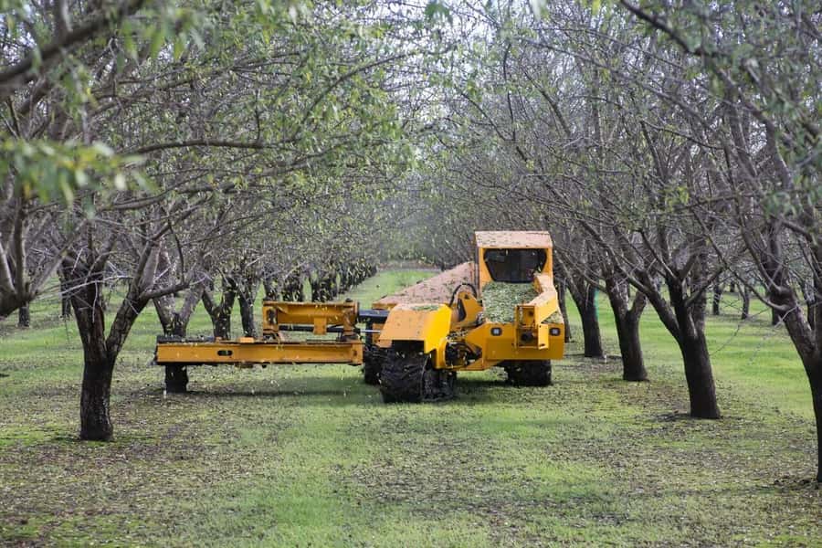 Modesto: Fruits and Roots Tour Driving Audio Guide Tour - Modesto’s orchards are the real starting point