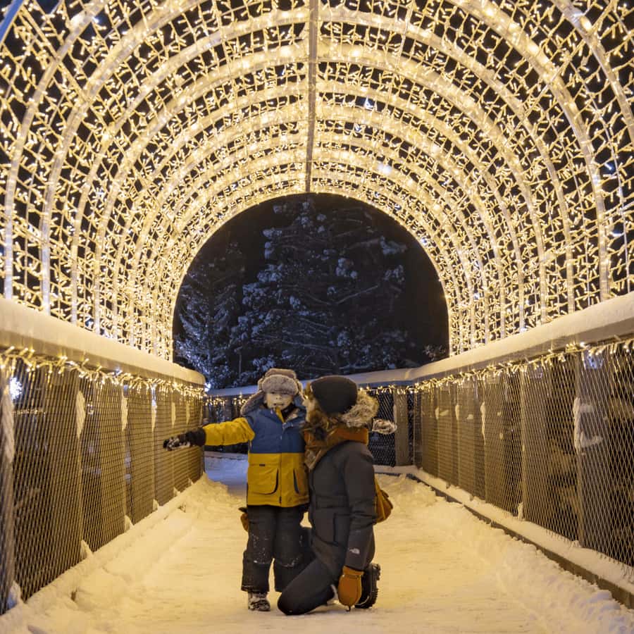 Mont-Tremblant: Treetop Observatory and Self-Guided Walk - Key points to know before you go
