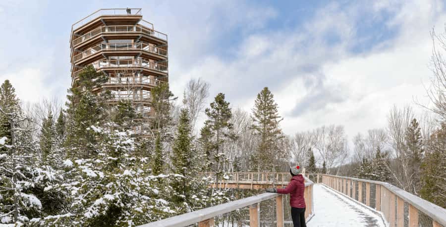Mont-Tremblant: Treetop Observatory and Self-Guided Walk - Walking the forest path to the tower