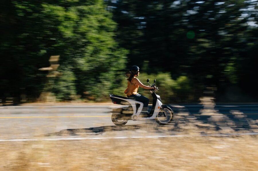 Monterey: Scenic Half-Day Self-Guided Electric Scooter Tour - Monarch butterflies in the Monterey pines