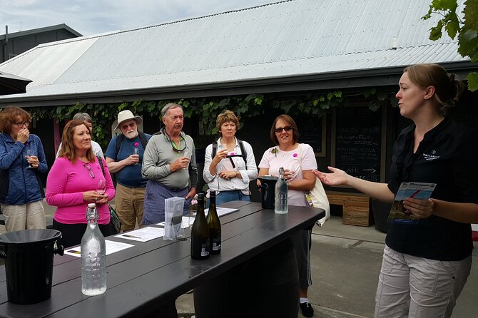 Morning Guided with Afternoon Self-Guided Biking Wine Tour - Cycling through Marlborough without a hard workout