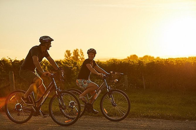 Morning Guided with Afternoon Self-Guided Biking Wine Tour - The afternoon is yours to shape