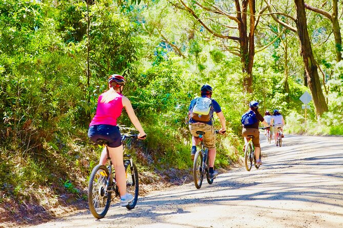 Mornington Peninsula Self-Guided Bike Tour | Food & Wine Region - Arthurs Seat gives you the first big view
