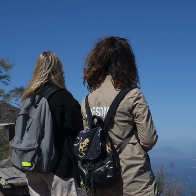 Mount Vesuvius: Skip-the-Line Ticket and Smart Digital Guide - Reaching the summit and walking the crater rim