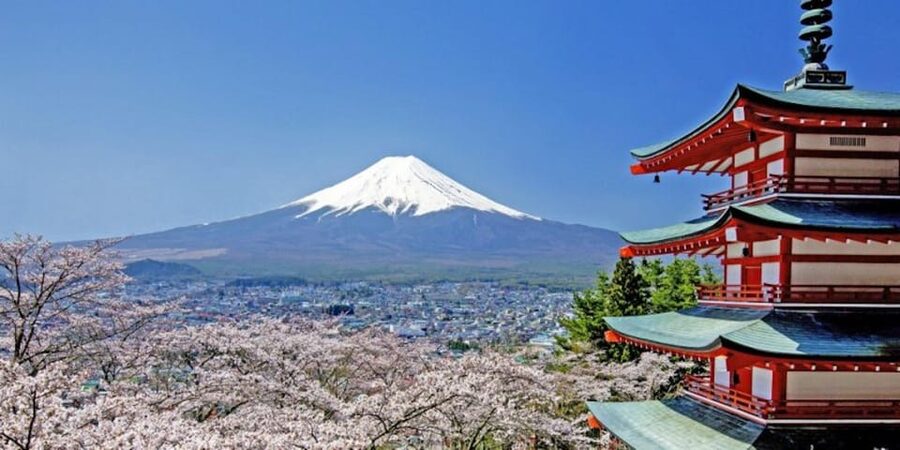 Mt. Fuji Drive Tour (Includes Visit to Local Speedway) - Inside Fuji Speedway for two hours