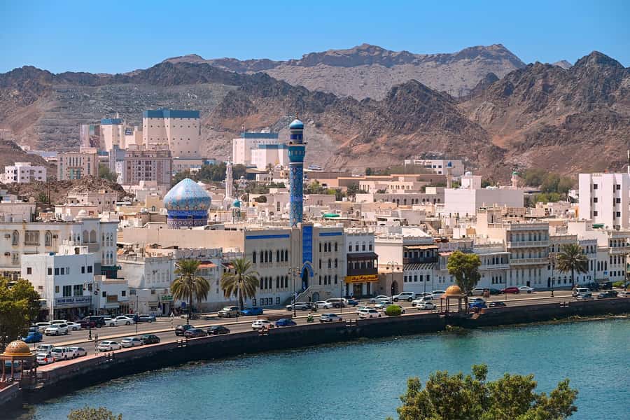Muscat: Half-Day Sightseeing Essentials Tour and Audio Guide - The fish market: a quick look at daily Muscat
