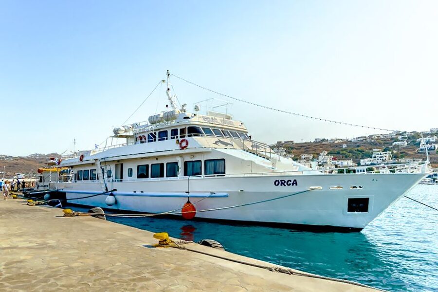 Mykonos: Delos Boat Transfer with Cell Phone Audioguide - What the independent format means for you