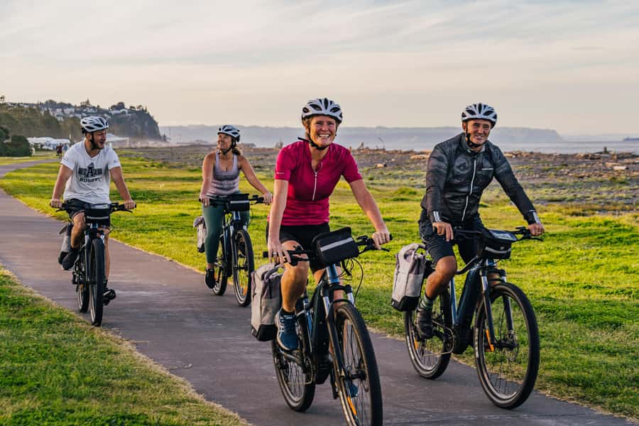 Napier: Cruise Self-Guided Cycle Ride to Winery - Half Day - Key points to know before you ride