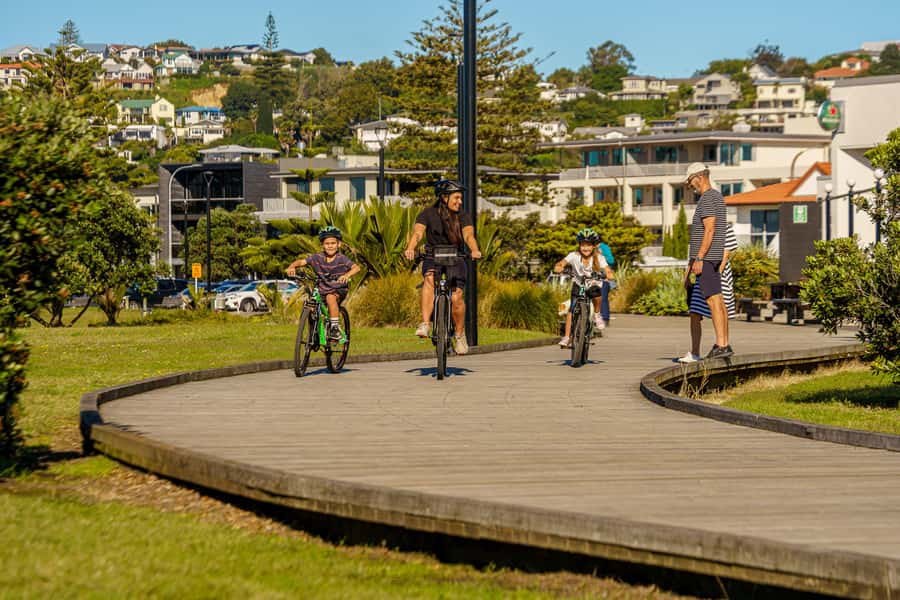 Napier: Cruise Self-Guided Cycle Ride to Winery - Half Day - Mission Estate and Church Road on the loop route