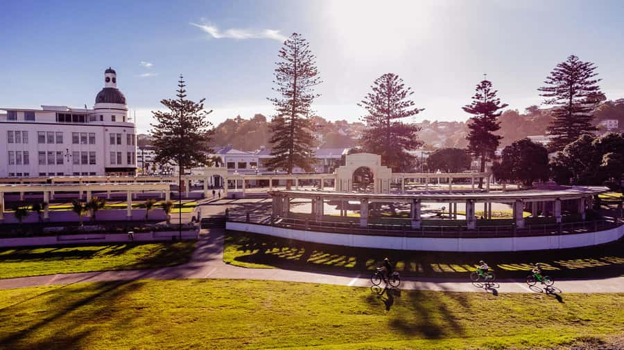 Napier: Cruise Self-Guided Cycle Ride to Winery - Half Day - Timing the ride around your cruise ship