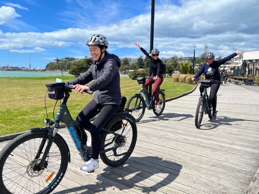 Napier: Cruise Self-Guided Cycle Ride to Winery - Half Day - Choosing between the 40-kilometer loop and 50-kilometer coast