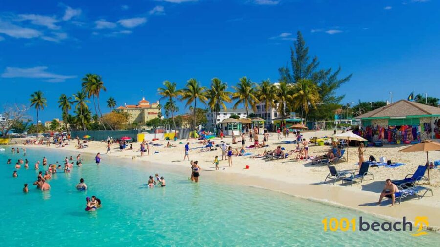 Nassau: Self Drive Speed Boat & Guided ATV Tour + Free Lunch - Safety, clothing, and what to bring