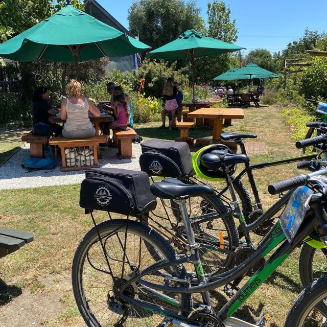 Nelson: Self-Guided Tunnel to Town Cycling Tour via Mapua - Key points to know before you book