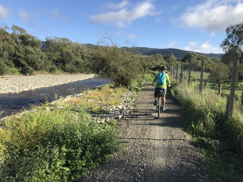Nelson: Self-Guided Tunnel to Town Cycling Tour via Mapua - Lunch, wine and berry ice cream near Richmond