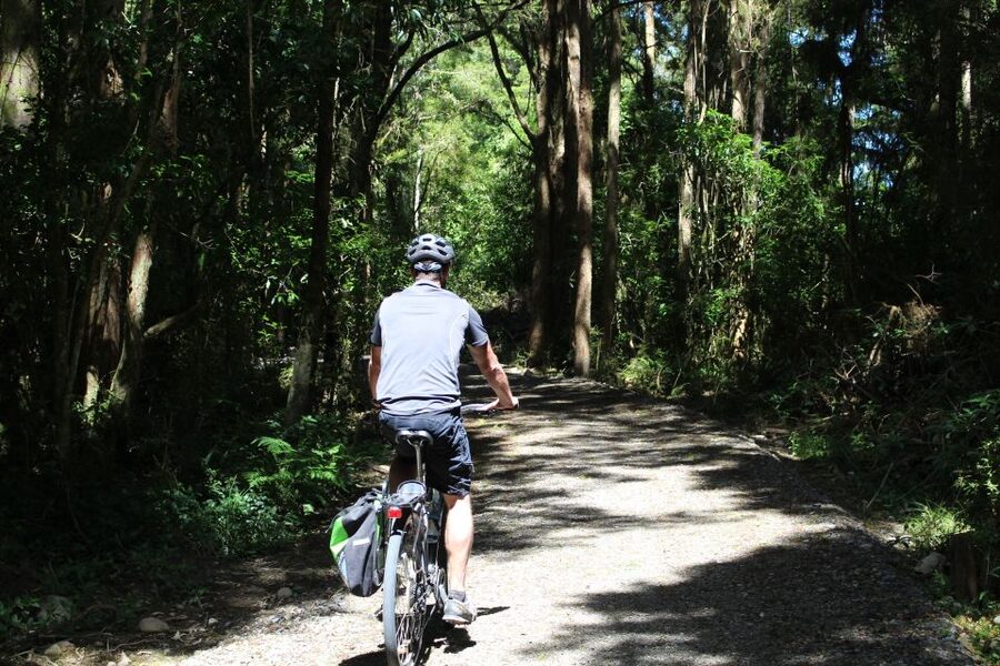 Nelson: Self-Guided Tunnel to Town Cycling Tour via Mapua - The 15-kilometer ride toward Mapua