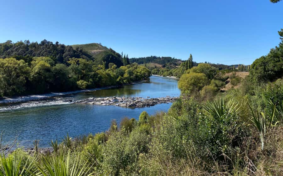 Nelson to Mapua: Full-Day Cycling Self-Guided Adventure - Returning to Nelson by Kiwi Journeys shuttle