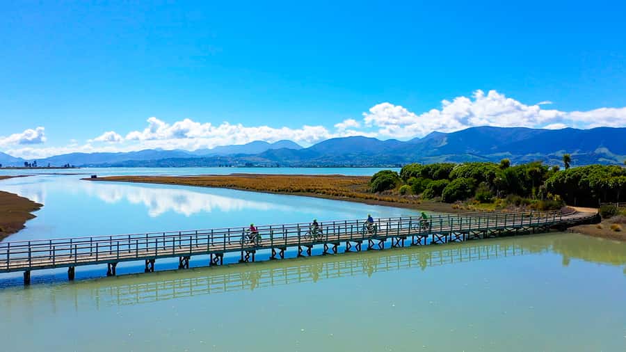 Nelson to Mapua: Full-Day Cycling Self-Guided Adventure - Why this route works best as a self-guided day