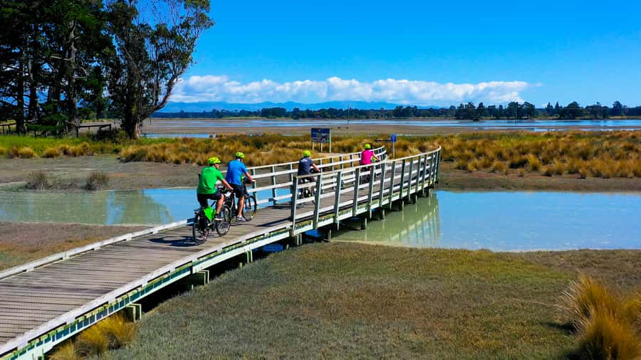 Nelson to Mapua: Full-Day Cycling Self-Guided Adventure - The less scenic opening section